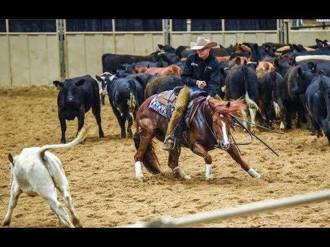 2017 Breeders Invitational Open Derby Finals Highlights
