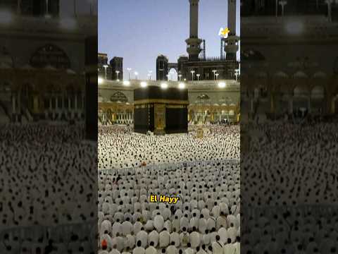 ¿Cómo celebran los musulmanes el Hayy? #shorts
