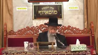 עותק של ימי בין המיצרים שלושת השבועות הנהגות והלכות תמוז תשפג