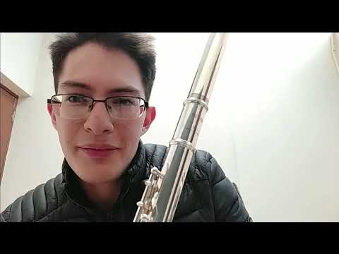 Flauta Yamaha YFL-261 En Venta