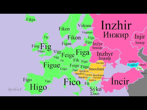 Fruits: Ep. 2 | European Languages Comparison