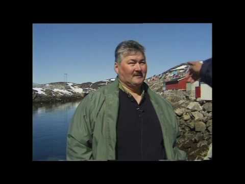 Kangaamiuni assiliivik alapernaatsoq, juni 1999