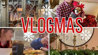 VLOGMAS | THRIFTING AND AN AMAZING HOME GOODS!