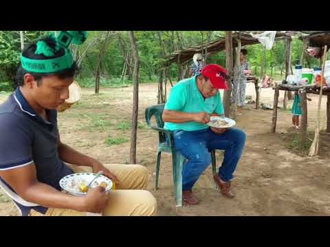 COMUNIDAD INDIGENA EL ESPINAL DE HATONUEVO LA GUAJIRA