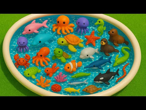 Explore 32 Amazing Sea Creatures 🐬🐠🦀 - Fun Ocean Journey for Kids to Learn English 🌊