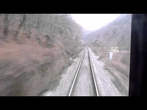 Calatorie cu P3645 pe ruta Pestera h. - Vadu Crisului h. (Backview) (16 01 2011)