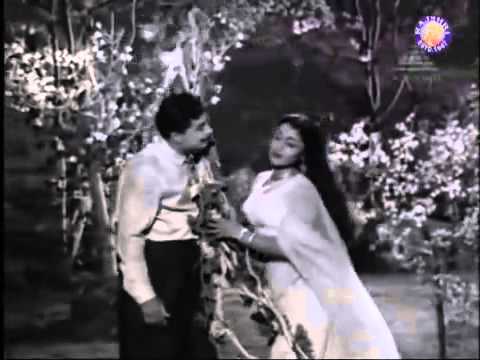 MGR in Kattithangam Vettiyeduthu   Thayai Katha Thanayan