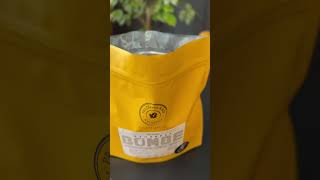 Etiopie Bombe na filtr 250g