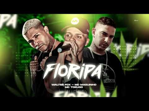 WALTER FOX, MC MAGUINHO E MC TORUGO - FLORIPA 🍁 - SONY NO BEAT (REMIX BREGA FUNK) VIRAL TIKTOK