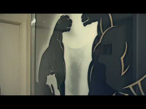 3rd World Momo - Talk Shit | Shot By @dahoodnerds Cuzzo Shot This