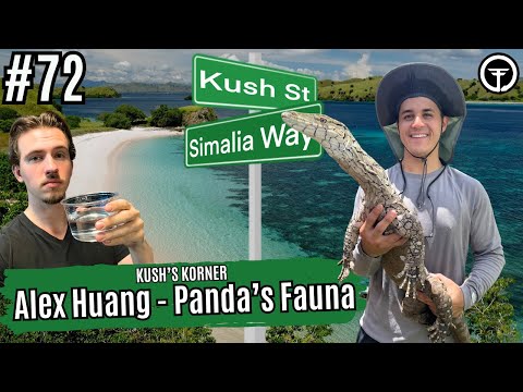 Having Success With A Diverse Reptile Collection | Kush's Korner Live