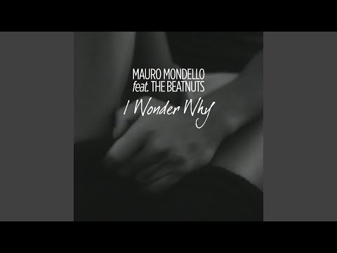 I Wonder Why (feat. The Beatnuts) (Extended Mix)