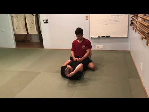 Aikido: Takemusu Aiki & and Tactical Dilemmas - A Discussion/Demonstration (Ne-Waza)