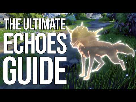 The ULTIMATE Echoes Guide! (Wuthering Waves)