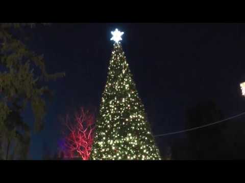 Inaugurarea Bradului de Crăciun în comuna Stăuceni 