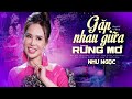 Gặp Nhau Giữa Rừng Mơ Mặt Trời Hồng Lưng Vách Núi Lững Lờ Làn Mây Trắng Như