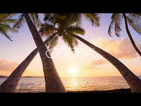 Toby Romeo feat. Leony - Crazy Love