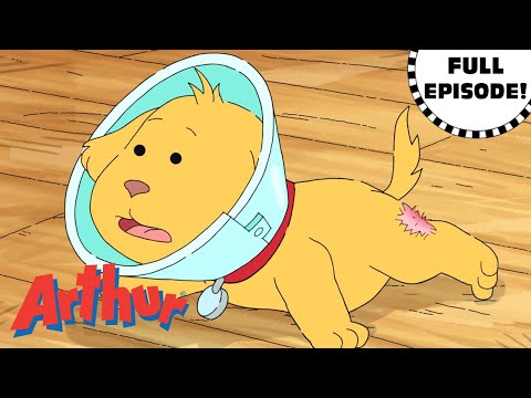 Pal and the Big Itch | Arthur Full Episode!