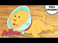 Pal and the Big Itch | Arthur Full Episode!