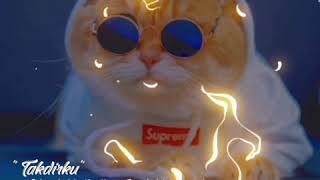 Download lagu Story wa Quotes literasi 30 detik keren mp3