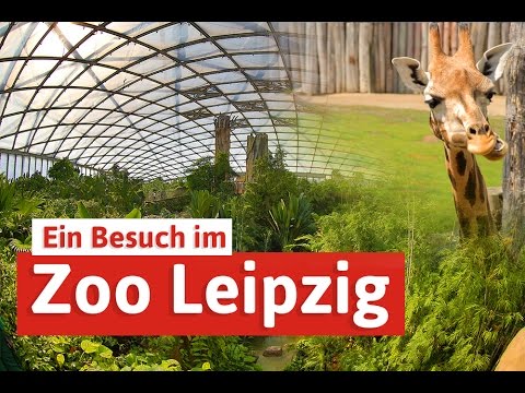 Zoo Leipzig - Städtereise mit Elefant, Tiger & Co.