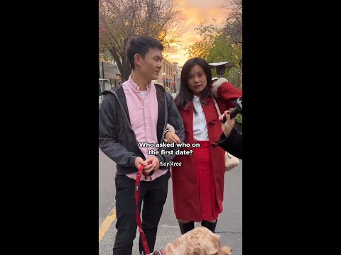 How Did You Meet Your Partner?