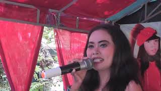 Download lagu Bagai Ranting Kering - Puspita Cahaya mp3 Download lagu Bagai Ranting Kering - Puspita Cahaya mp3