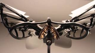 Auspicious Messenger 2015