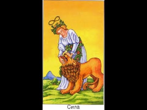 Карта таро сила на заставку значение