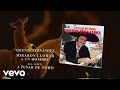 Vicente Fernández - Miraron Llorar a un Hombre (Cover Audio)