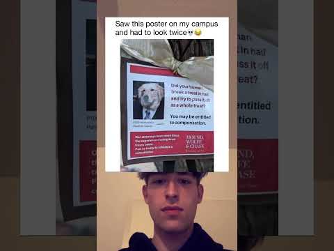 Can I pet that daaaawg