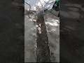 Full Concrete Patio Repair In Under 60 Seconds! #concrete #contractor