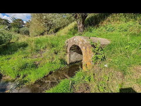 Ecosphere from an Ancient Sewer System Outlet in Brielle (NL)