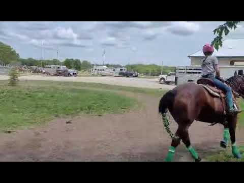 Rawhide Plain Jane "Jane" - 05/14/2023 -1