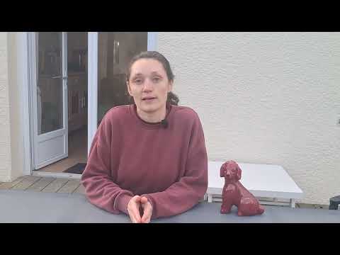 Séance d’ostéopathie animalière en pratique