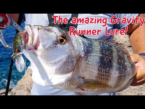 The new "Gravity Runner 100" lure from Savage Gear! Fishing, tips and tricks!