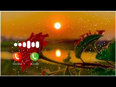 INSTAGRAM VIRAL NEW SWEET INSTRUMENTAL SONGS #RINGTONE #viral