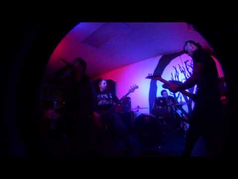 Porkeria @ Fall Back Records Part 1