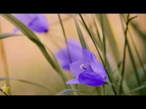 ☆ Lhářka - Kečup [HD]