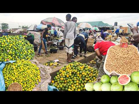 Oshodi Fruit and Vegetable Market Lagos, Nigeria. Prices of Tangerine, Watermelon, Pawpaw and More