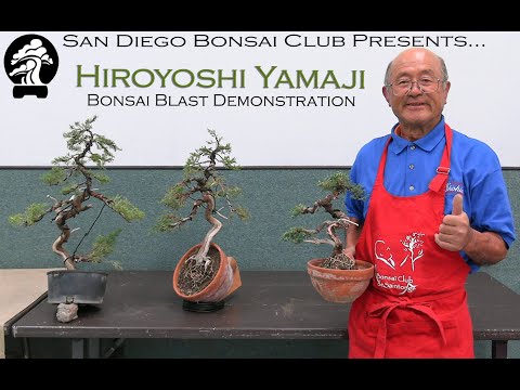 Hiroyoshi Yamaji - SDBC October 2025