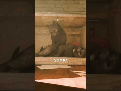 The Schrödinger's Cat  🤯        #physics #science #quantum #cat #facts #3d #animation #shorts #atom