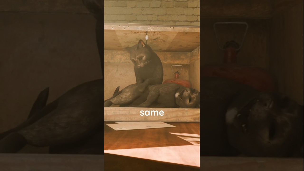 The Schrödinger's Cat  🤯        #physics #science #quantum #cat #facts #3d #animation #shorts #atom