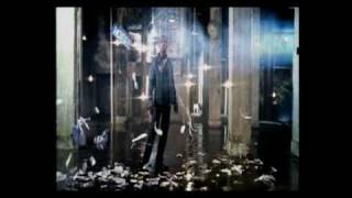 Alexandre Pires - Usted se me llevo la vida