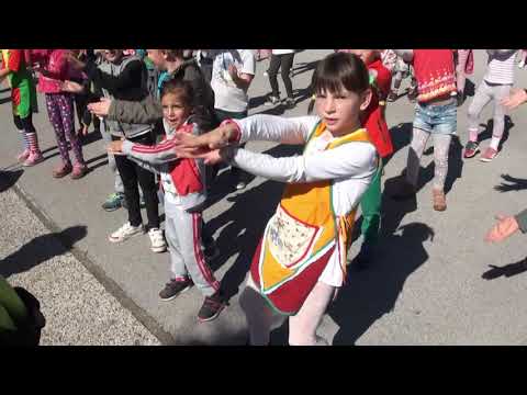 OŠ Polzela pleše - Ples pod brezami (Baby Shark dance by PinkFong)