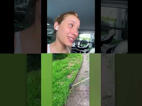 #viral #shorts #nauta #lambsito