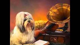 Ich Brauch Dich Jeden Tag -Andy Borg