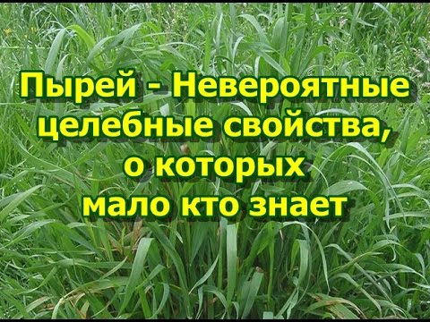 Раз в полгода укол в коленный сустав Лечение при гнойных заболеваниях суставов