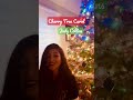 Cherry Tree Carol - Judy Collins (Acoustic Christmas Cover by Marisa D)