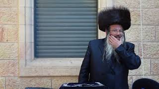 'שבעת המעגלים' לזיהוי ומניעת נשירה מאת הרב שנייבלג